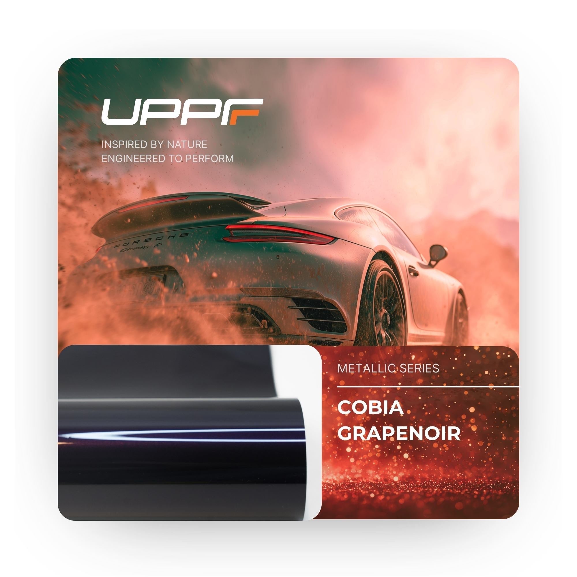 Cobia Grapenoir CL8026