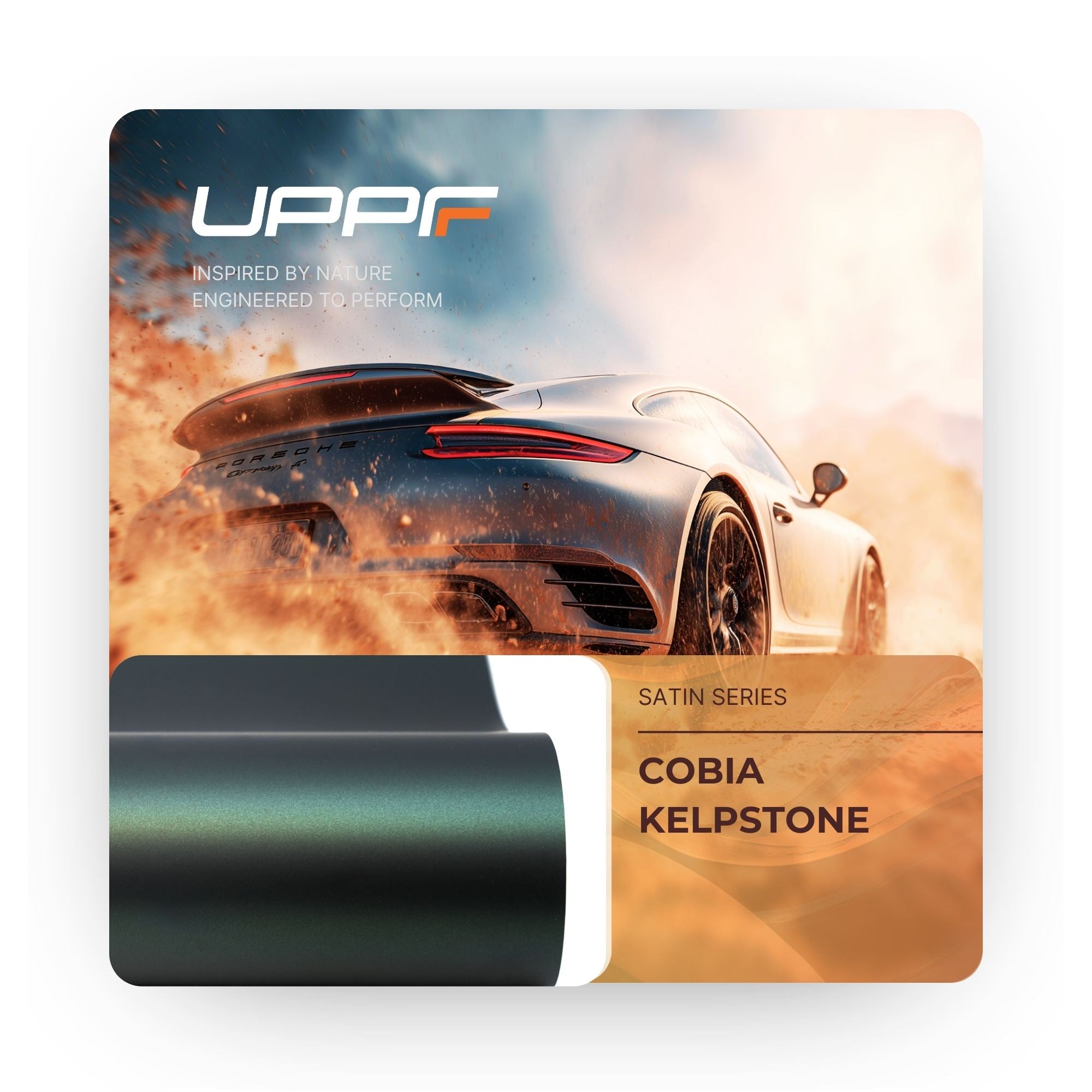 Cobia Kelpstone CS5009