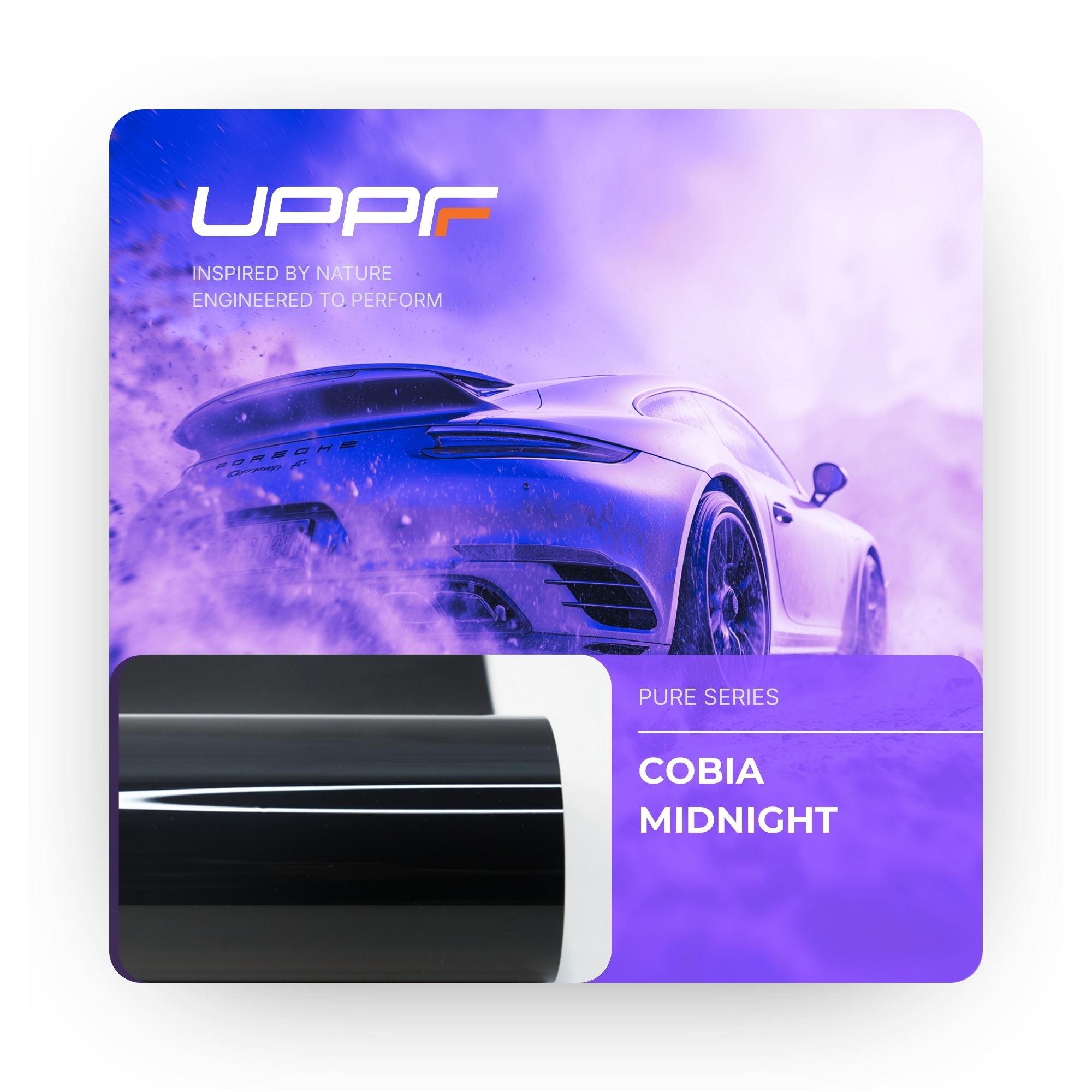Cobia Midnight CP6001