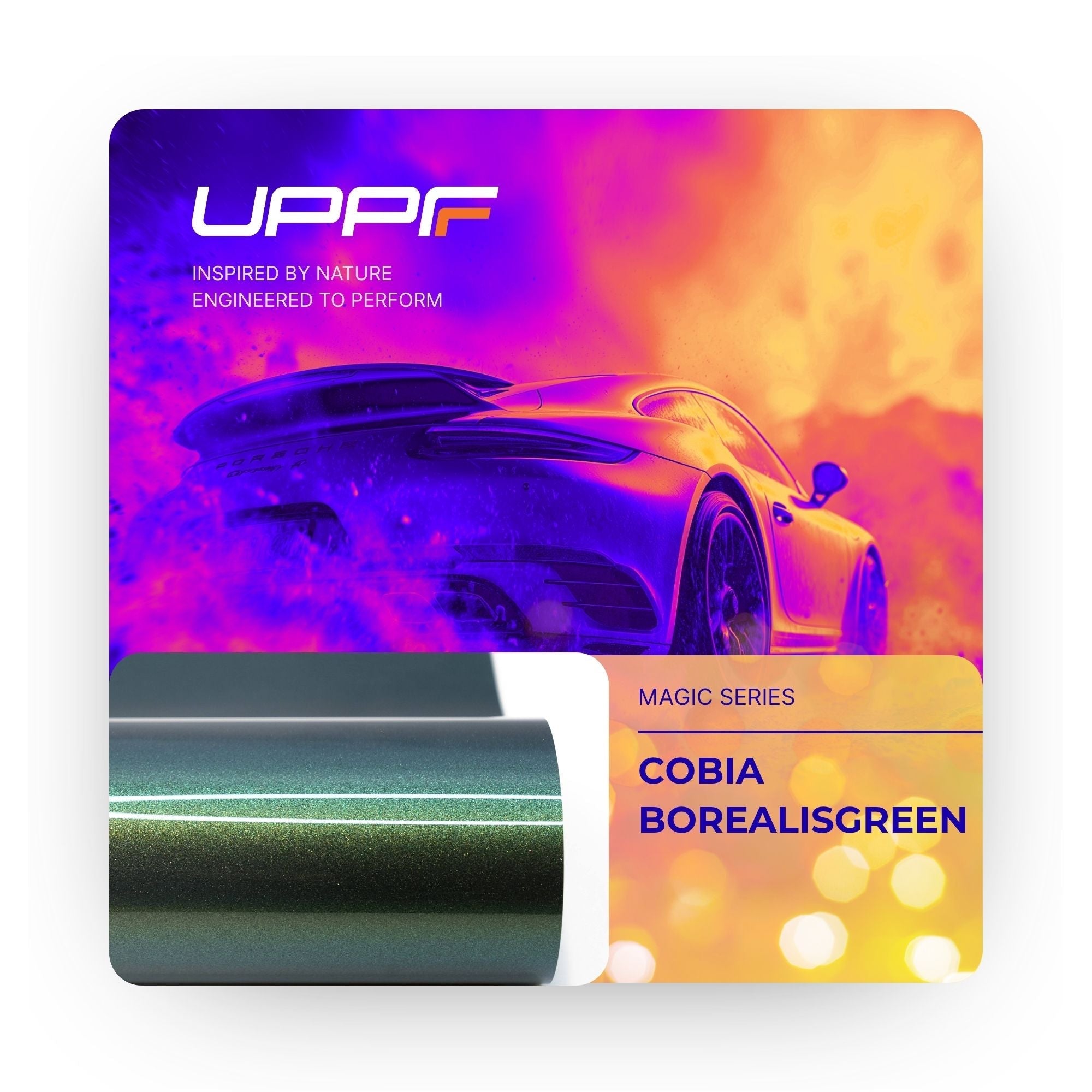 Cobia BorealisGreen CM7003