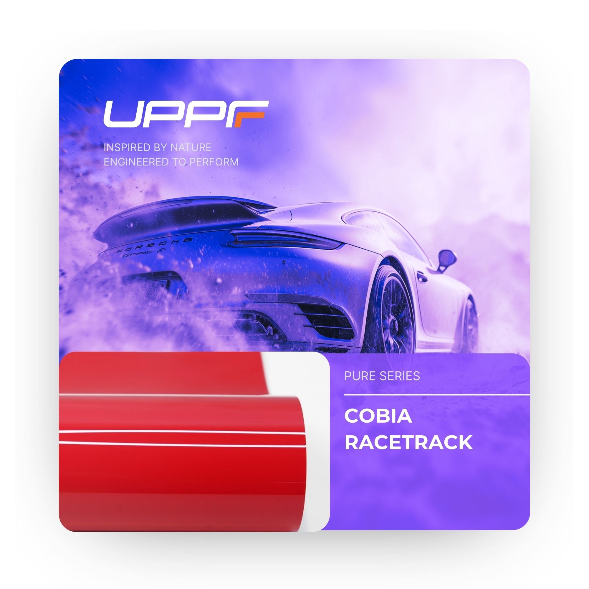 Cobia Racetrack CP6021